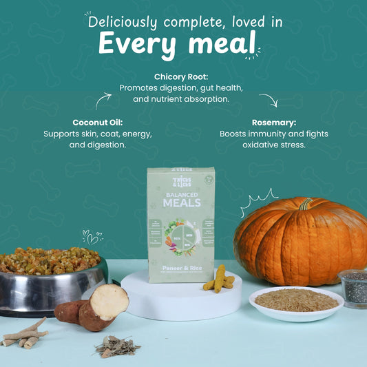 Balanced Meal Paneer & Rice Fresh Food for Dogs – 100g