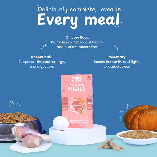 Balanced Meal Chicken & Rice Fresh Food for Dogs – 100g