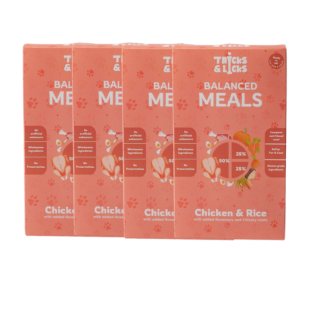 Balanced Meal Chicken & Rice Fresh Food for Dogs – 100g